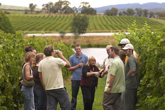 Winery visit in La Rioja with tasting and traditional lunch from Logroño