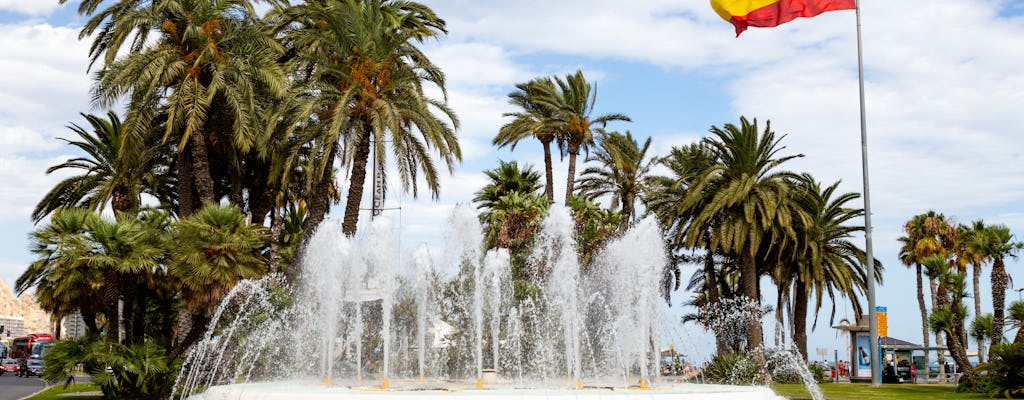 Wandeltour van een halve dag in Alicante