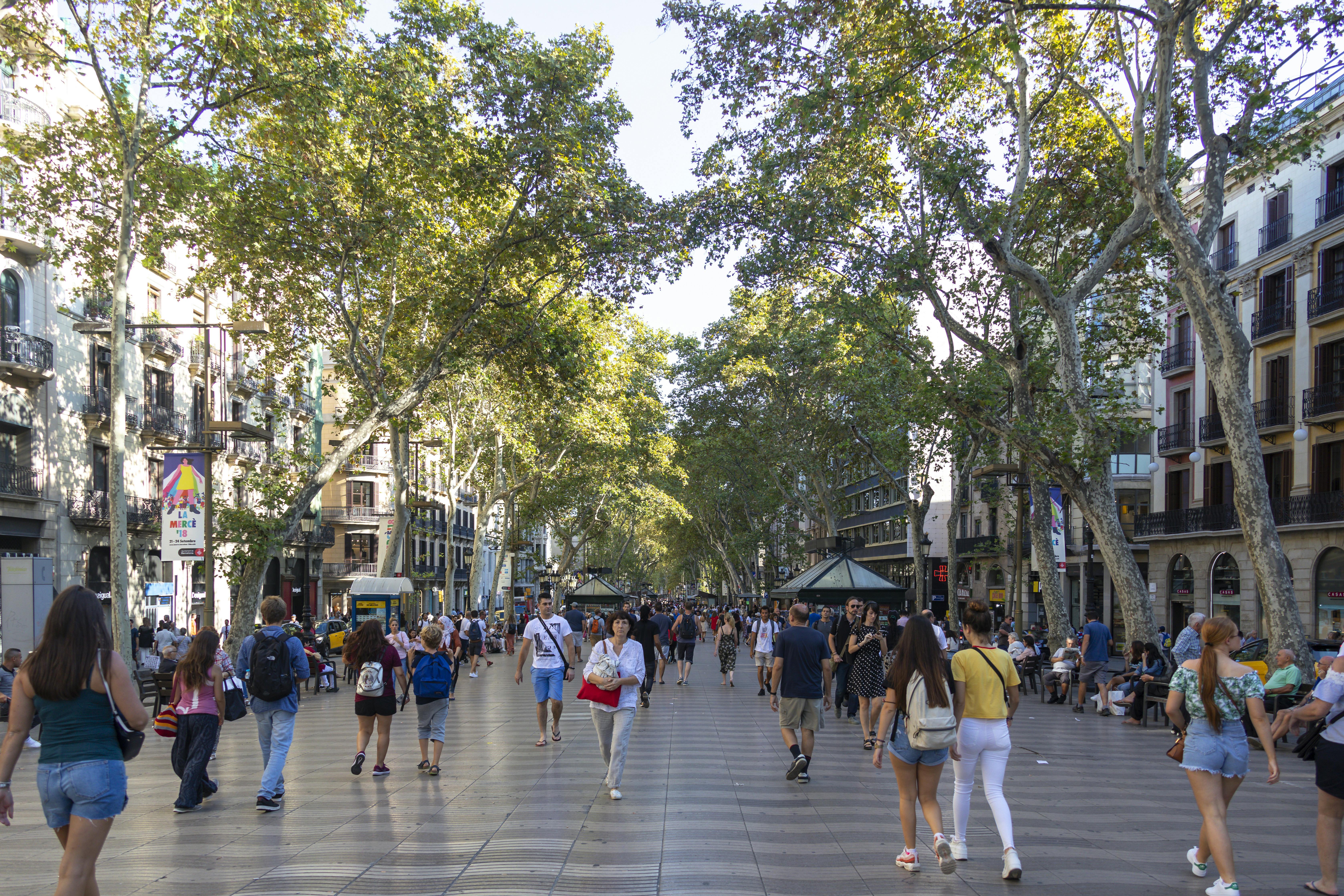 Barcelona Day & Night Tour