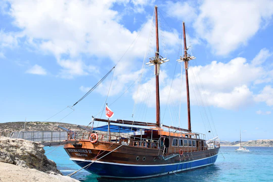 Fernandes cruise