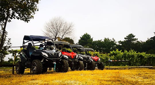Northern Portugal all-terrain driving tour from Porto