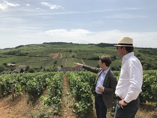 Half-day Burgundy tour from Beaune including lunch and wine tasting at family domain