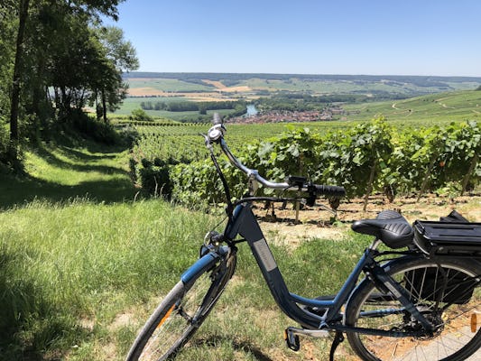 Tour de día completo en bicicleta eléctrica en Champaña con almuerzo