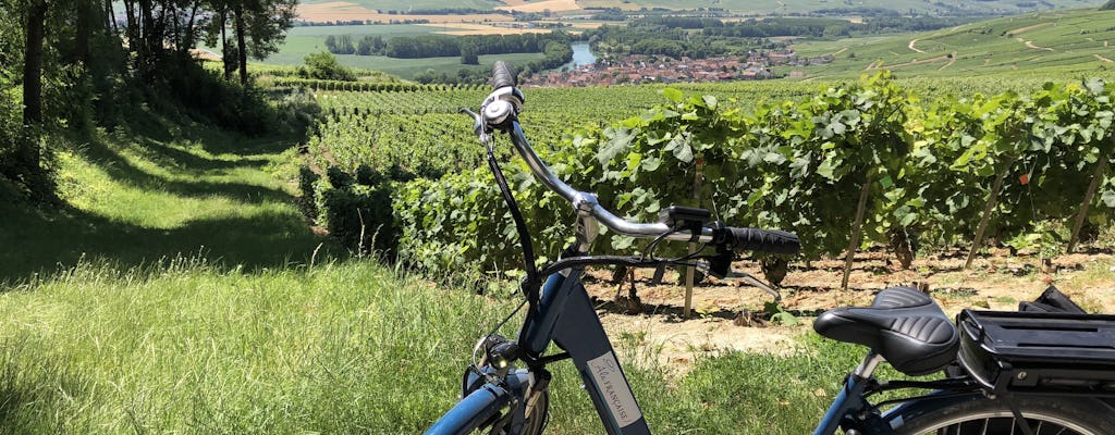 Passeio de bicicleta elétrica de dia inteiro em Champagne com almoço