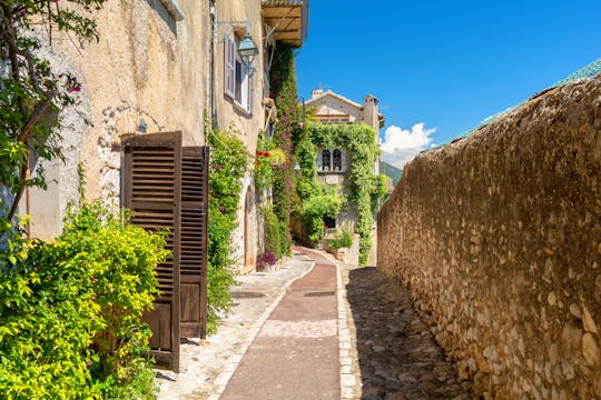 Excursion privée d'une demi-journée dans la campagne provençale