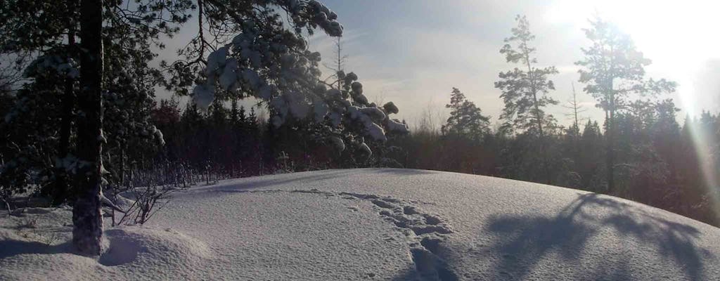 Explore Astuvansalmi during a winter adventure