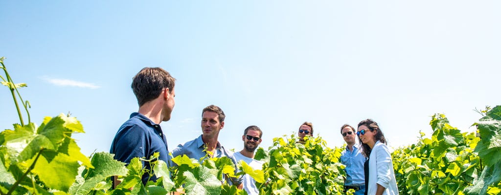 Krótka wycieczka rodzinna dla hodowców i lunch z Epernay