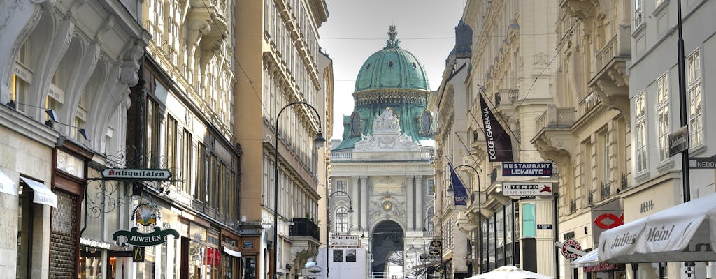 Tour privato di Vienna da Praga