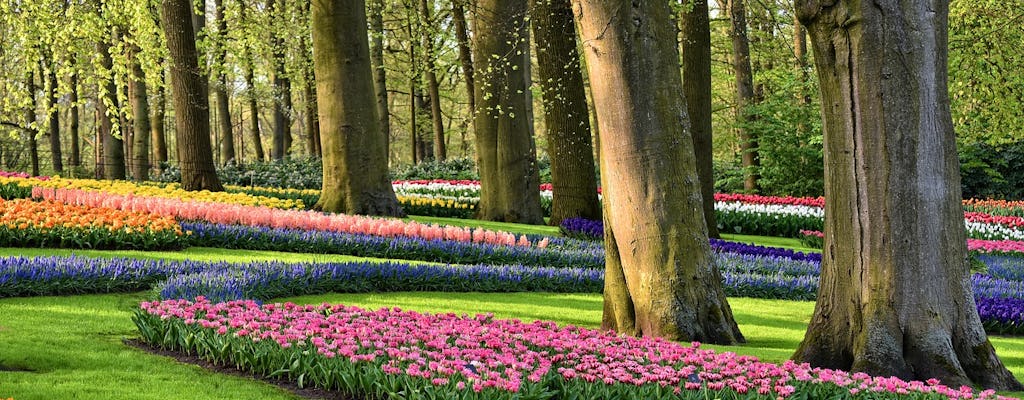 Visite privée des jardins de Keukenhof au départ d'Amsterdam