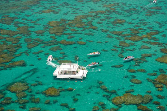 Excursão guiada ao recife Maracajaú Parrachos