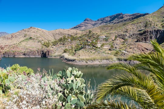 Tour panorámico de montaña en bicicleta eléctrica con degustación de tapas