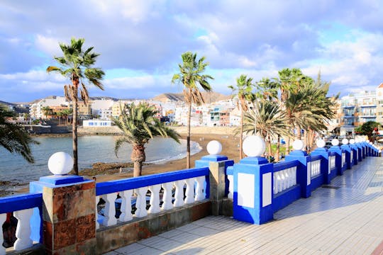 Tour panoramico in bici elettrica della costa meridionale di Gran Canaria con degustazione di tapas