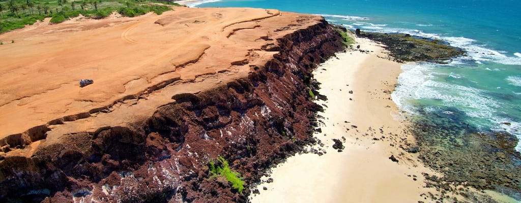 Pipa Day Trip - Group Tour Spanish and Portuguese