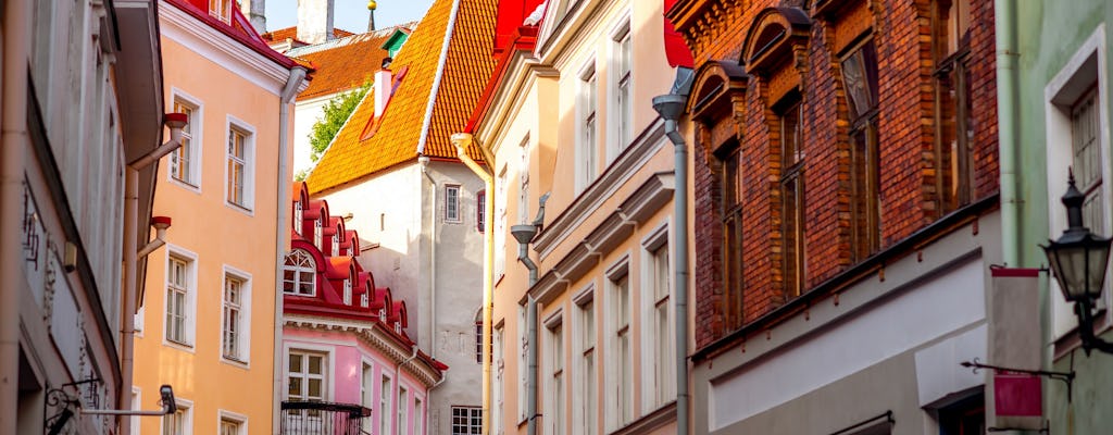 Prywatna piesza wycieczka po Starym Mieście w Tallinnie