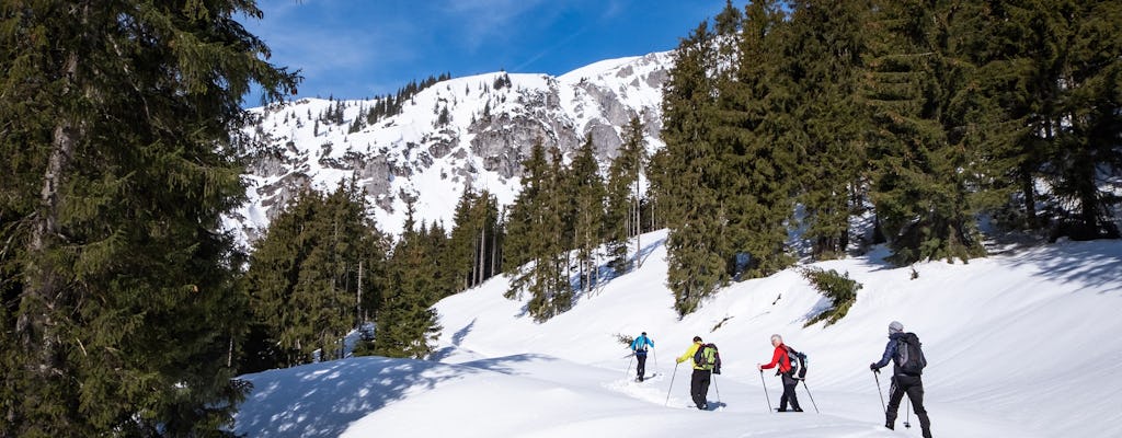 Tour privado de raquetas de nieve en la garganta de Janosik