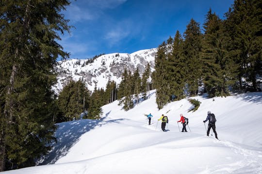 Excursão privada com raquetes de neve no desfiladeiro de Janosik