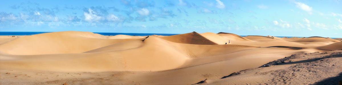 Tour in bici di Maspalomas con giro in cammello delle dune di sabbia