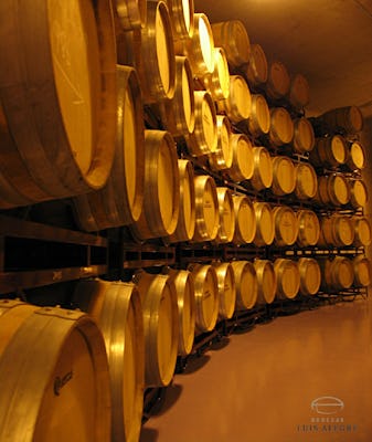 Visita a duas vinícolas de La Rioja com pintxos de Bilbao | musement