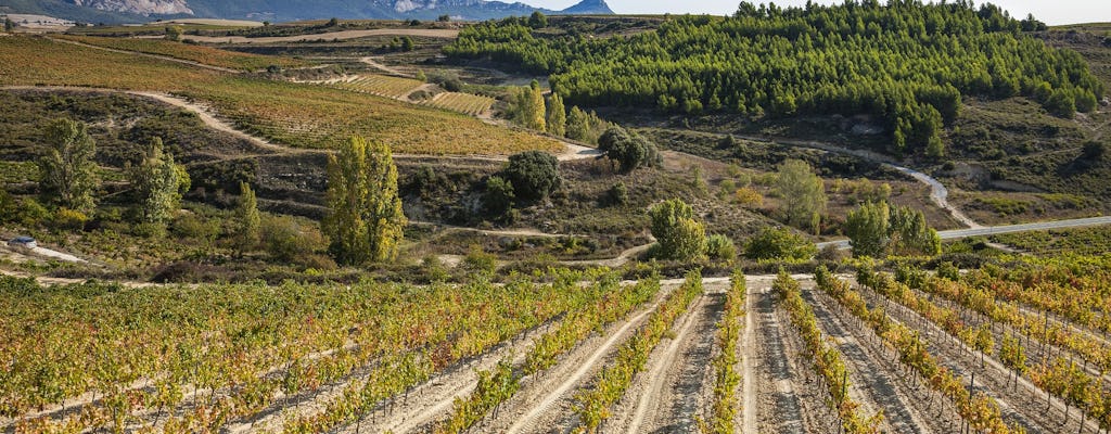 Bezoek aan twee wijnhuizen in La Rioja met pintxos uit Bilbao