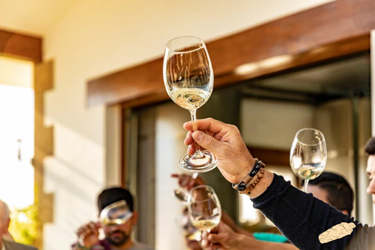 Txakoli wine house visit with tasting in a small-group
