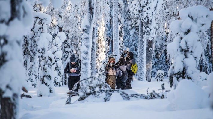 Explore el desierto invernal finlandés durante una expedición fotográfica