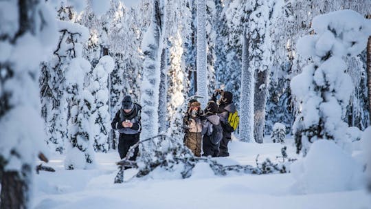 Explore the Finnish winter wilderness during a photography expedition