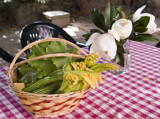 Cooking class experience in the Roman countryside with lunch