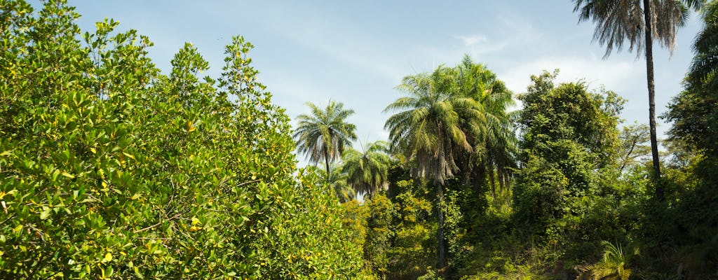 Excursión de día completo al bosque cultural Makasutu