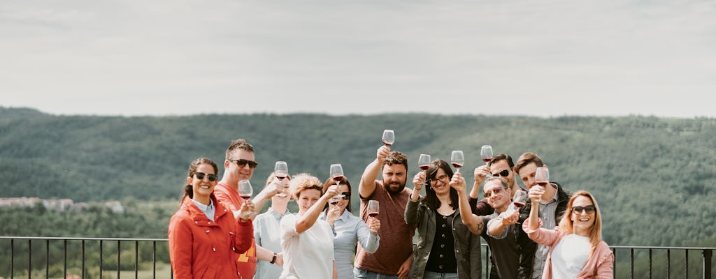 Tour do vinho de Liubliana