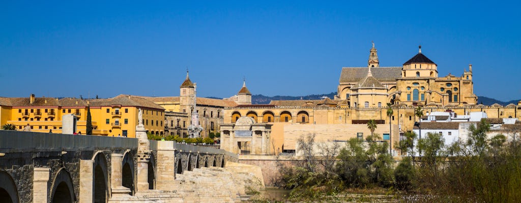 Tour completo di Cordova: quartiere ebraico, Alcázar de los Reyes Cristianos, Moschea-Cattedrale