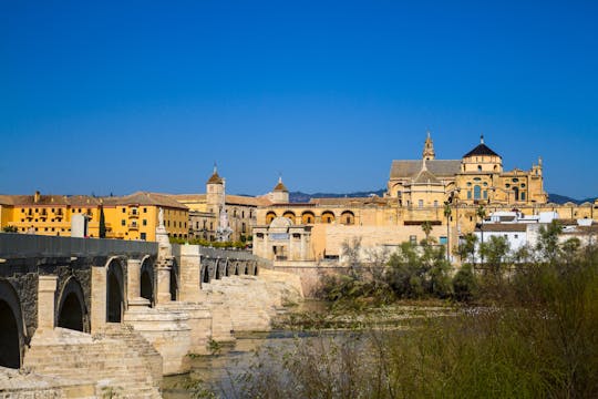 Tour completo di Cordova: quartiere ebraico, Alcázar de los Reyes Cristianos, Moschea-Cattedrale