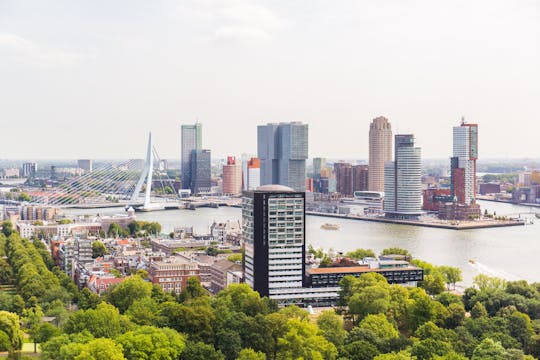 Grand Holland tour de Rotterdam, Delft e Haia com Madurodam