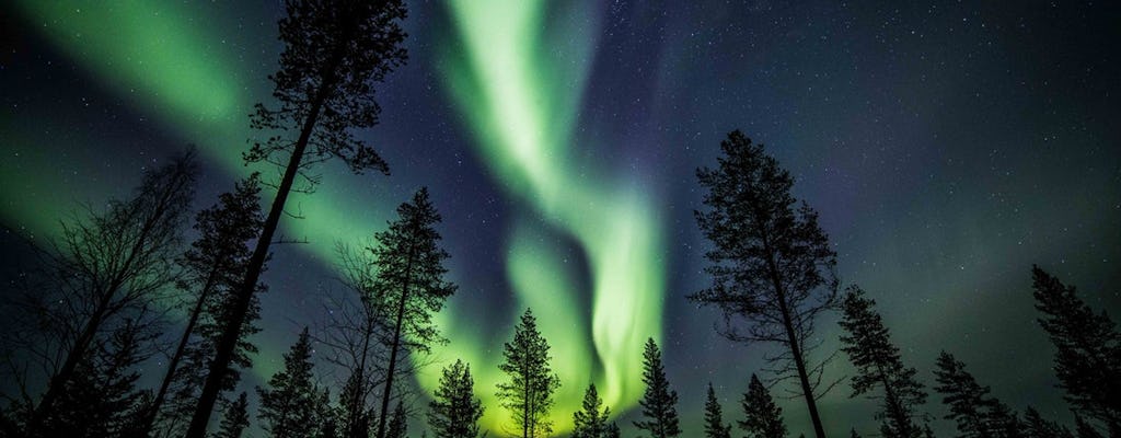 Scopri l'aurora boreale in un tour fotografico