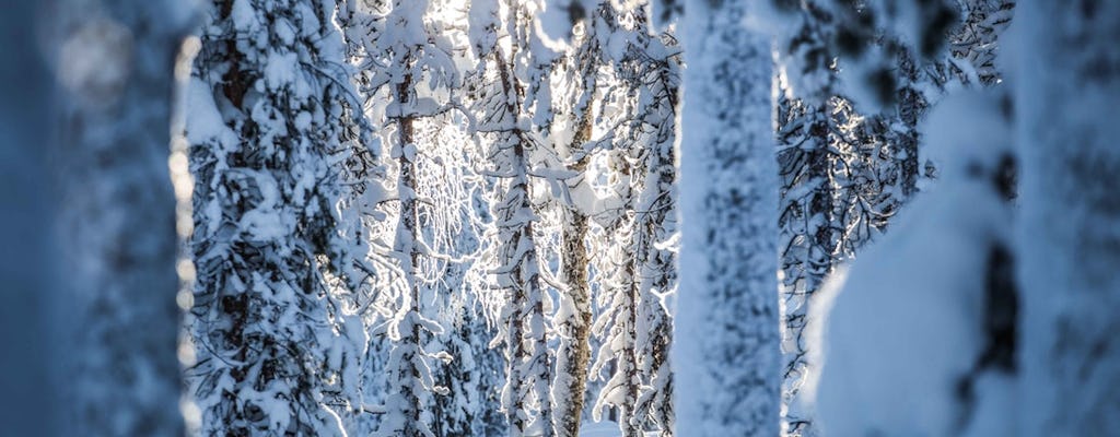 Esquiar en el campo finlandés