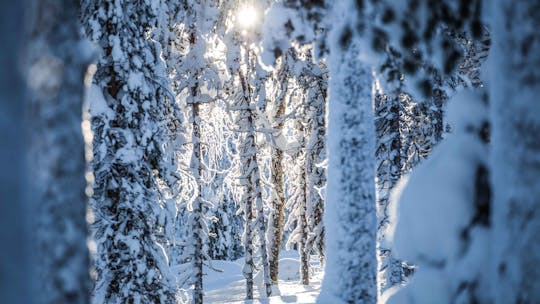 Skifahren im finnischen Hinterland