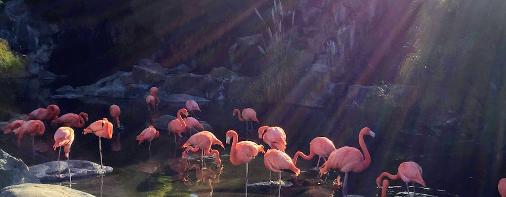 Entrada al Bioparque Temaiken de Buenos Aires con traslado