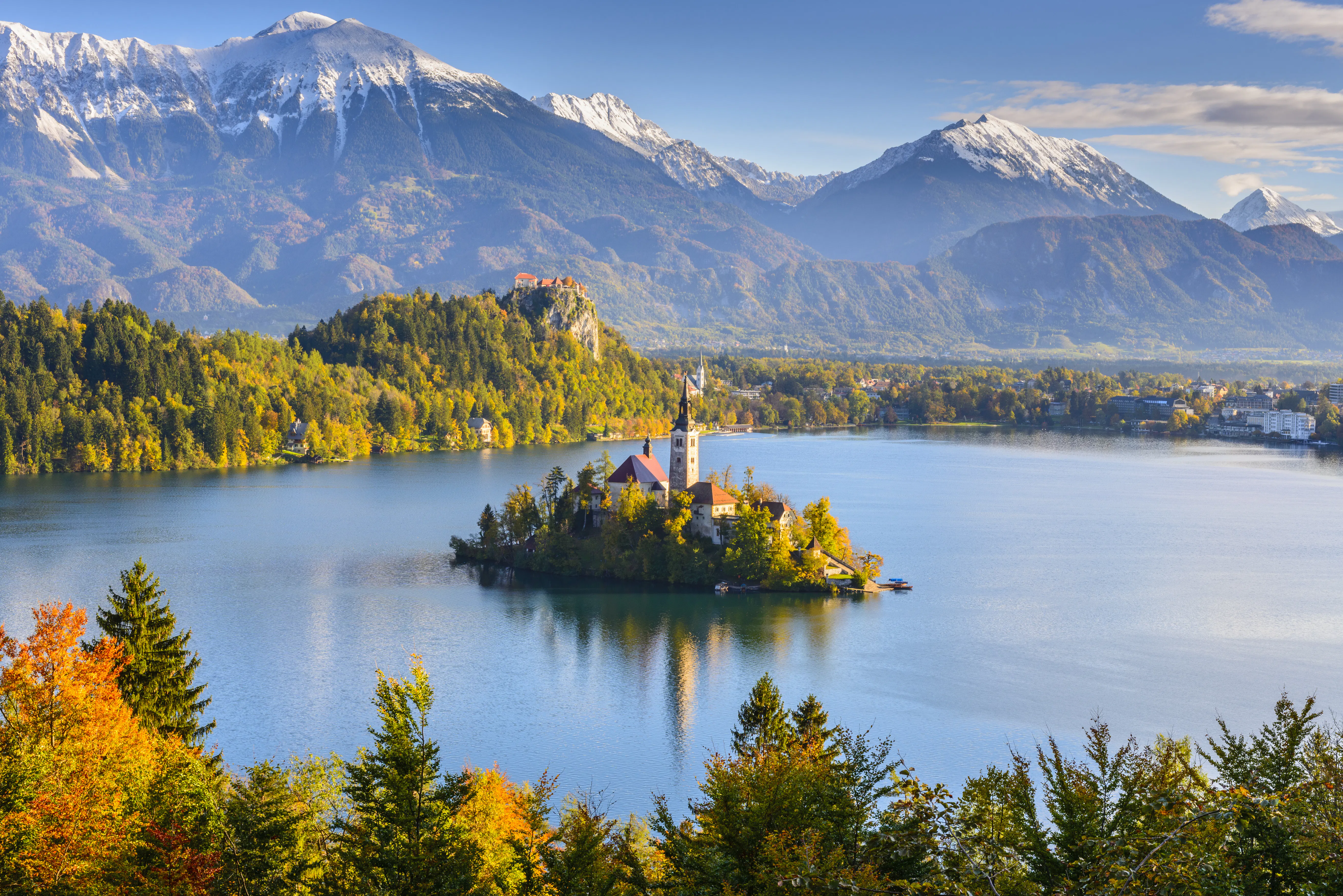Bled