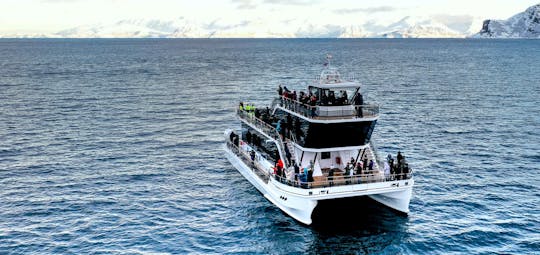 Stille walvisexcursie per boot