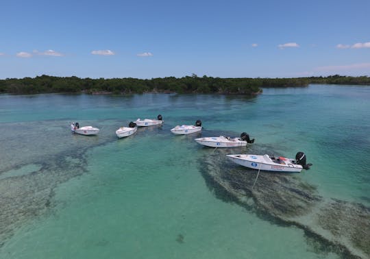 Key West safari snorkel eco-tour