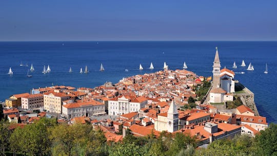 Hop-on and taste tour in Koper