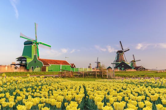 Privé dagtrip naar het platteland en de windmolens ten noorden van Amsterdam
