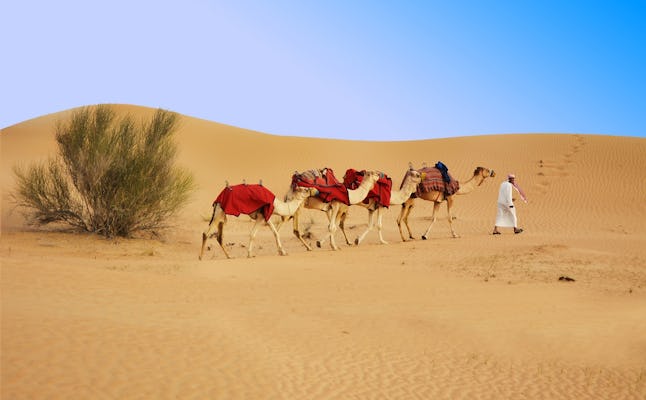 Safári matinal de meio dia em Dubai, passeio de quadriciclo de 30 minutos, sandboard e passeio de camelo