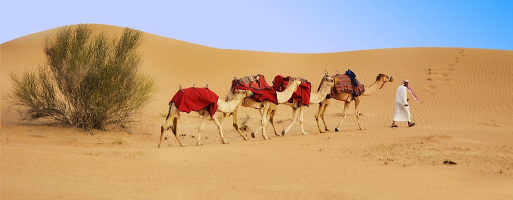 Safari matinal d'une demi-journée à Dubaï, promenade en quad de 30 minutes, sandboard et promenade à dos de chameau