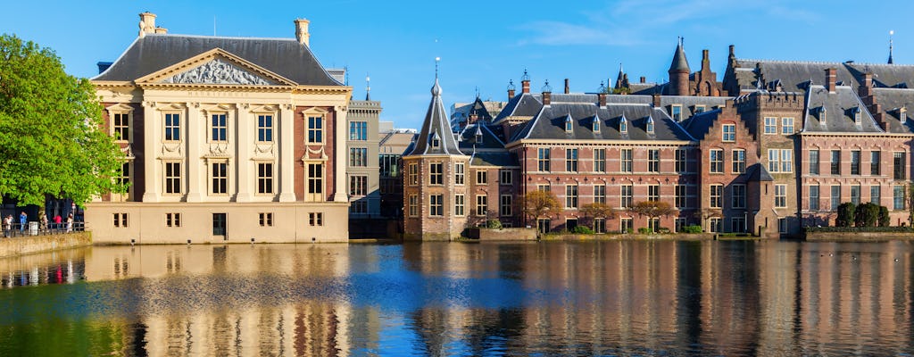 Girl with the Pearl Earring, The Hague and Delft city private tour