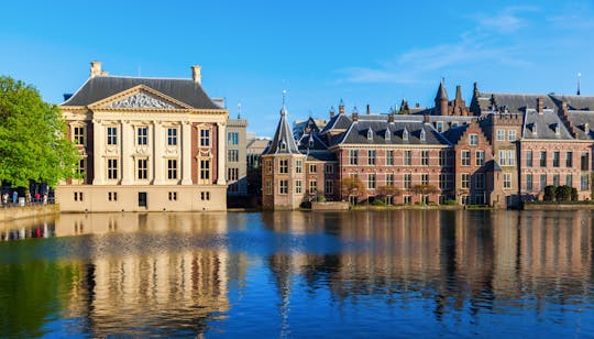 Girl with the Pearl Earring, The Hague and Delft city private tour