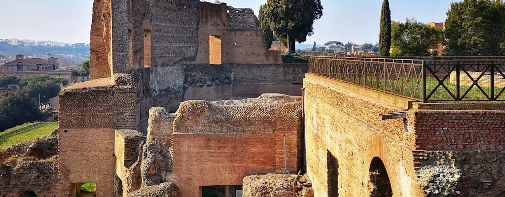Group tour of Colosseum, Roman Forum and Palatine Hill