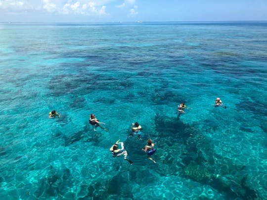 Żagiel do snorkelingu w Key West
