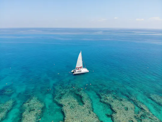 Middag snorkelen bij het rif van Key West
