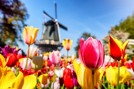 Keukenhof garden private luxury tour