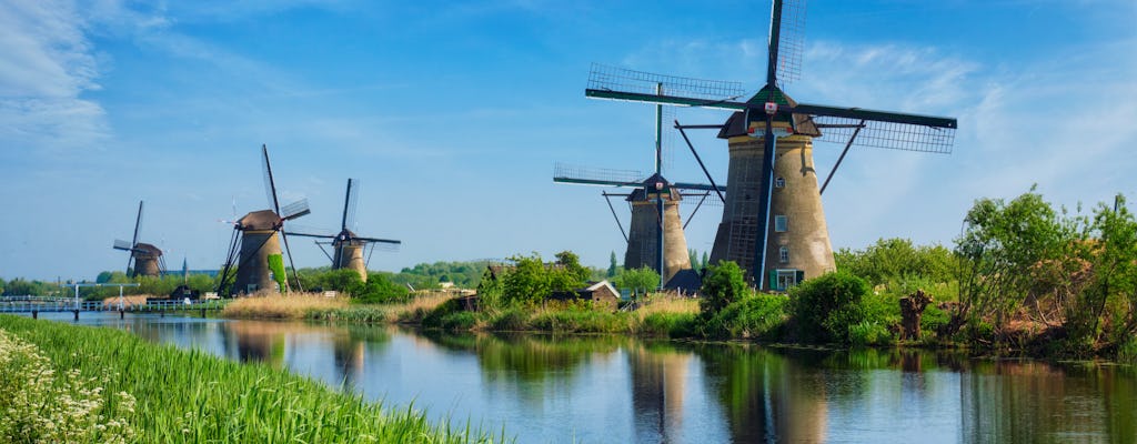 Rotterdam and Kinderdijk windmills private tour